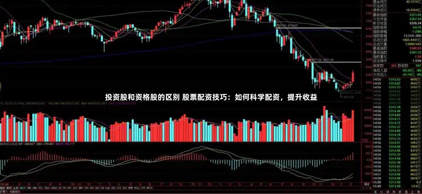 投资股和资格股的区别 股票配资技巧：如何科学配资，提升收益