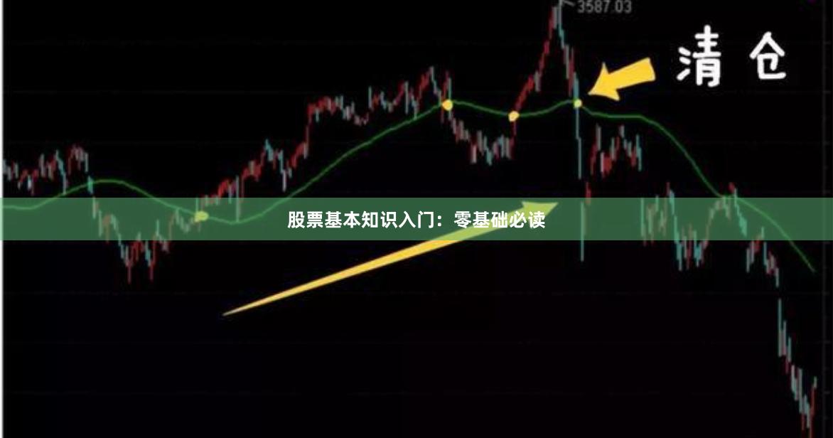 股票基本知识入门:零基础必读