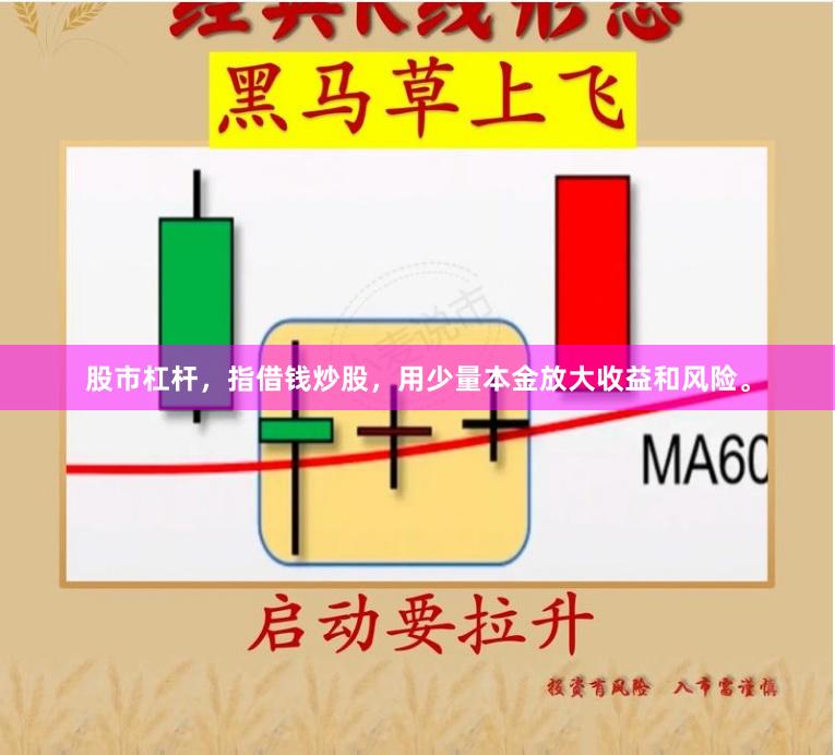 股市杠杆，指借钱炒股，用少量本金放大收益和风险。